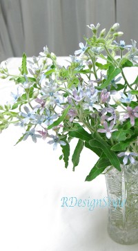 20070804a.jpg