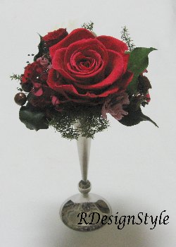 20071208miyawakia.jpg