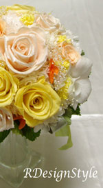 20080418¥Ö¡¼¥±2b0724.jpg