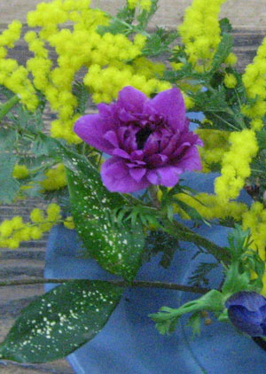 IMG_2450re.jpg