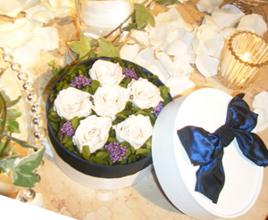 DSCF5245300.jpg