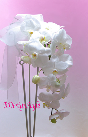 IMGP6225r300.jpg